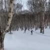 Шокирующее ВИДЕО: на Камчатке биатлонист скончался после столкновения с деревом