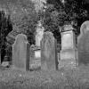В Челнах на директора кладбища возбудили уголовное дело за раскапывание могил