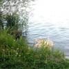 Рядом не оказалось никого: в Казани на озере Кабан утонула женщина