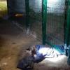 «Найдите меня сами»: челнинские спасатели освободили застрявшего под забором рыбака