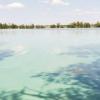 Соцсети: в Архиерейское озеро в Татарстане слили химикаты