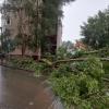 Рухнувшие деревья и снесенные крыши: последствия сильного ветра и ливня в Казани (ФОТО, ВИДЕО)