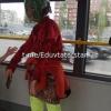 В Казани в автобусе заметили девушку в шлеме из арбузной корки