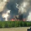 В Татарстане вспыхнули лесные пожары – небо заволокло черным дымом (ВИДЕО)