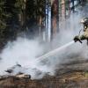 В Татарстане произошел еще один лесной пожар