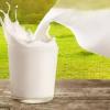 ТОП 10 фактов о молоке