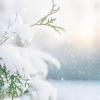 Татарстанские синоптики обещают возвращение зимней погоды