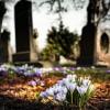 «В могилу отца старую ограду пристроили»: челнинцы рассказали кладбищенские истории