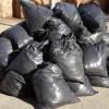 Россиян обяжут сортировать мусор – Госдума приняла закон об обращении со вторсырьем