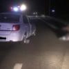 В Башкирии из-за выбежавшего на трассу лося погиб человек