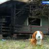 Многодетная семья из Казани осталась без дома после крупного пожара