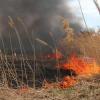 Татарстанцы получили 17 млн рублей, поджигая дома