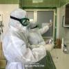 Казанский врач-инфекционист назвала симптомы свиного гриппа