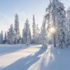 В Татарстане объявлено штормовое предупреждение из-за 40 градусных морозов