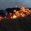 С 17 апреля в Татарстане начнёт действовать полный запрет на сжигание мусора и травы