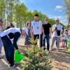 Зеленодольский район присоединился к международной акции «Сад памяти» (ФОТО)