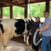 В Татарстане прошел VI Республиканский конкурс зоотехников-селекционеров молочного и мясного скотоводства (ФОТО)