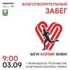 В Зеленодольске состоится благотворительный забег в честь 5-летия проекта «Приют человека»