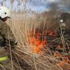 Пожароопасный сезон в Татарстане могут ввести с 15 апреля