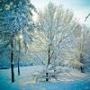 Жителям Татарстана обещают снег и морозы 7 марта