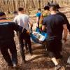 В Казани женщина серьезно пострадала при падении дерева