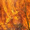 Из-за высокой пожароопасности лесов в Татарстане объявлено штормовое предупреждение