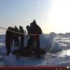 Казанский подросток искупался в Северном Ледовитом океане (ВИДЕО)