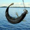 Под Казанью пройдет рыболовный фестиваль