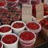 На казанских рынках ягодный бум. Что почем?