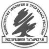 Бывший министр экологии Татарстана уличен в превышении должностных полномочий
