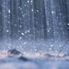 Дождливая погода сохранится в Татарстане до воскресенья