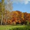 Казанский микрорайон «Ноксинский спуск» лишится 35 гектаров леса