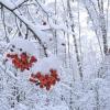 Синоптики обещают в Татарстане  снег и небольшое потепление (ПОГОДА)