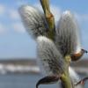 Росгидромет: Весна в Татарстане начнется в конце апреля
