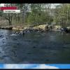 На Первом канале назвали виновного в загрязнении леса в Казани (ВИДЕО)